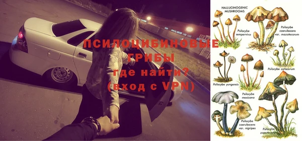 мескалин Пересвет