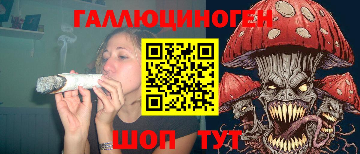 Борзя  Псилоцибиновые грибы Cubensis  Вход с VPN 