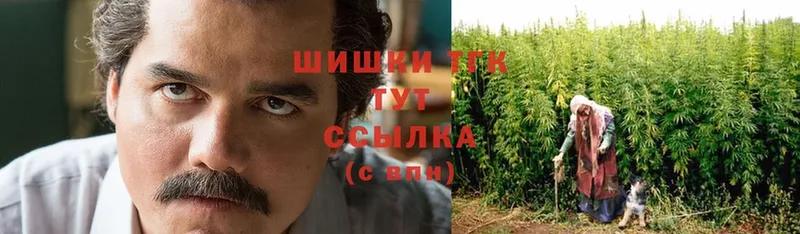 что такое   Борзя  Конопля THC 21% 